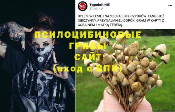 мдпв Абдулино