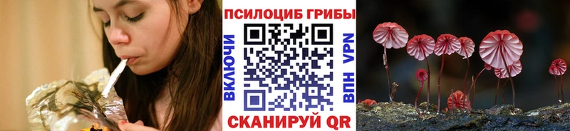 купить закладку  нарко площадка Telegram  Псилоцибиновые грибы мухоморы  Руза 